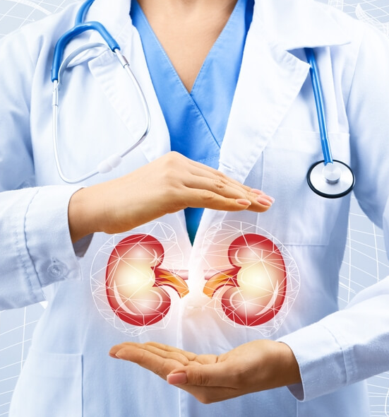 kingwood kidney doctor